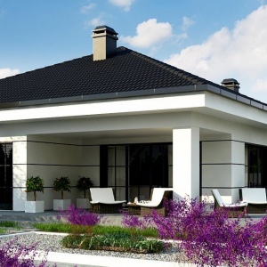 Проект 1-этажного дома 167 м