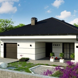 Проект 1-этажного дома 167 м